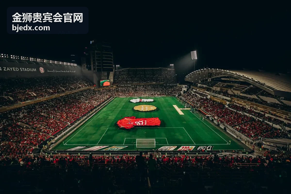 金狮贵宾会企业诊断